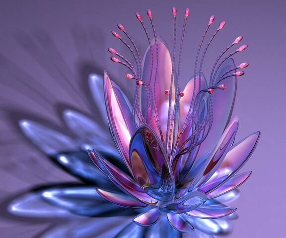Flower-Abstract-V725