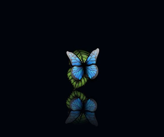 Butterfly Wallpaper - Download to your mobile from PHONEKY