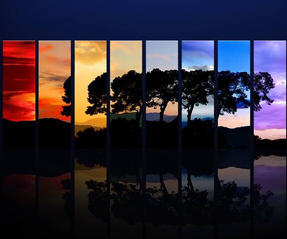 Colour Tree Wallpaper - Download to your mobile from PHONEKY