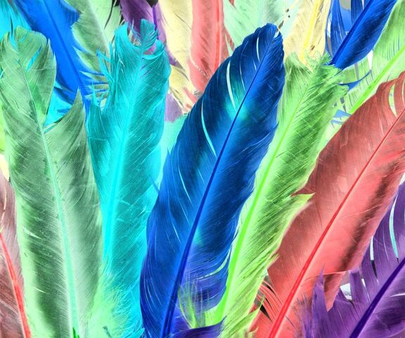 Neon Feather Wallpaper - Download to your mobile from PHONEKY