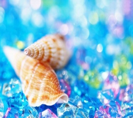 Ocean Treasures: The Beauty of Crystal Shells 🌊 Wallpaper - Download to ...