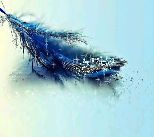 Bule Feather Wallpaper - Download to your mobile from PHONEKY