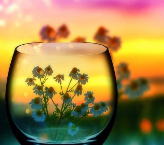 Flowers In Glass Wallpaper - Download to your mobile from PHONEKY