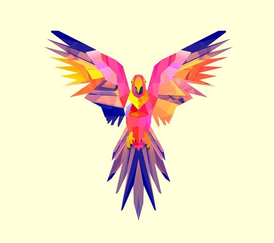 Parrot Wallpaper - Download to your mobile from PHONEKY