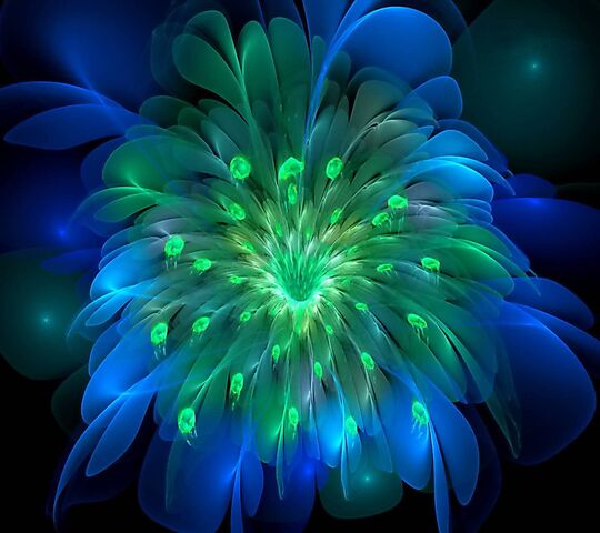 Peacock Bloom Wallpaper - Download to your mobile from PHONEKY