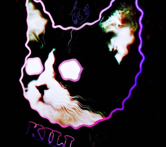 Abstract illustration of a neon cat Stock Illustration  Adobe Stock