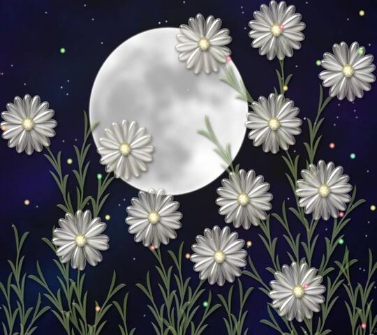 Moon Flowers Wallpaper - Download to your mobile from PHONEKY