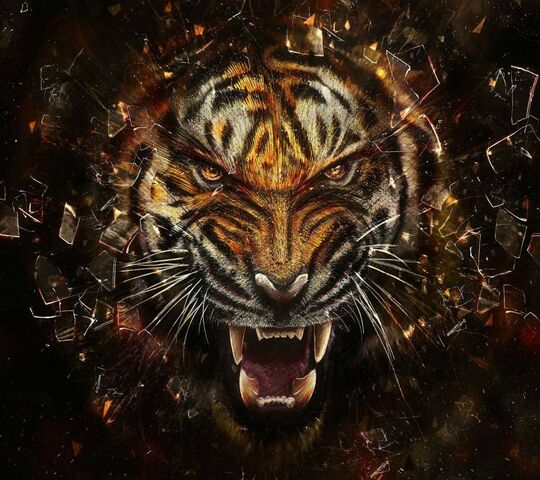 Angry Tiger Hd Wallpaper  Download to your mobile from PHONEKY