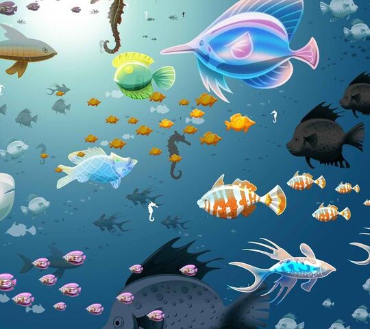 Fish Wallpaper - Download to your mobile from PHONEKY