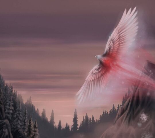 Snow Phoenix Wallpaper - Download to your mobile from PHONEKY