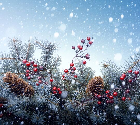 Christmas Branches Wallpaper - Download to your mobile from PHONEKY