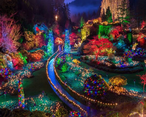Christmas Path Wallpaper - Download to your mobile from PHONEKY