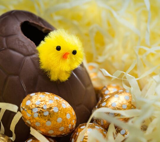 Egg Wallpaper - Download to your mobile from PHONEKY