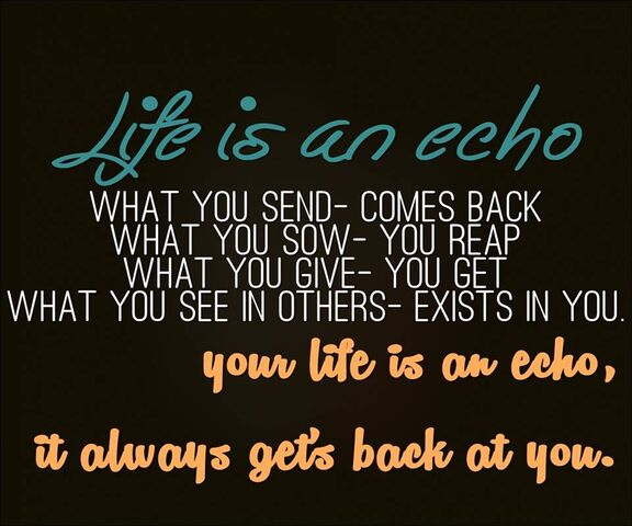 Life Is An Echo Wallpaper - Download to your mobile from PHONEKY