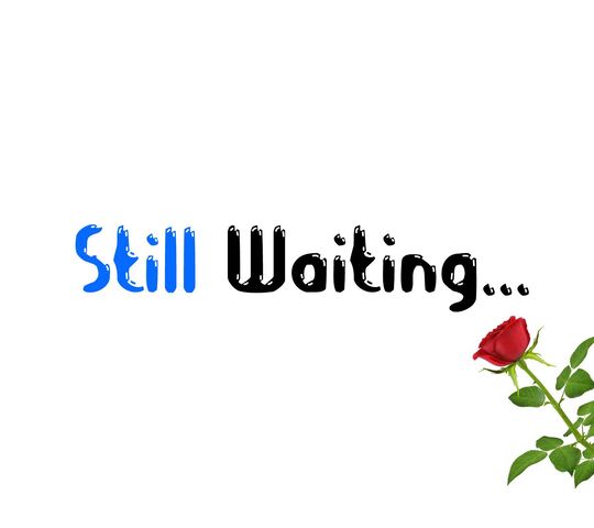Anticipation in Bloom 🌹 Wallpaper - Download to your mobile from PHONEKY