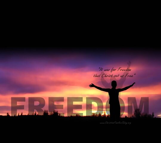 Freedom Wallpaper - Download to your mobile from PHONEKY