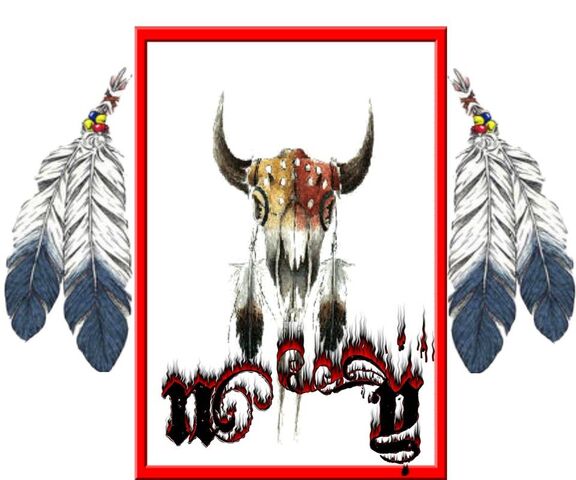 Buffalo Skull Wallpaper - Download to your mobile from PHONEKY