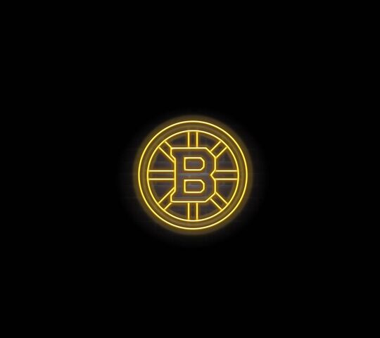 Boston Bruins logo fans NHL HD wallpaper  Peakpx