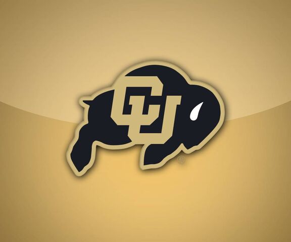 Cu Buffs Gold Wallpaper - Download to your mobile from PHONEKY