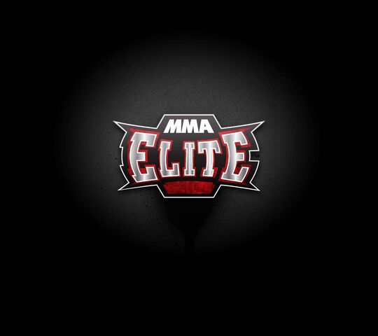 Mma Elite Wallpaper Download To Your Mobile From Phoneky