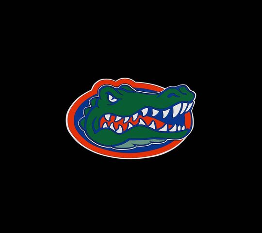 Gators Black Back Wallpaper - Download to your mobile from PHONEKY