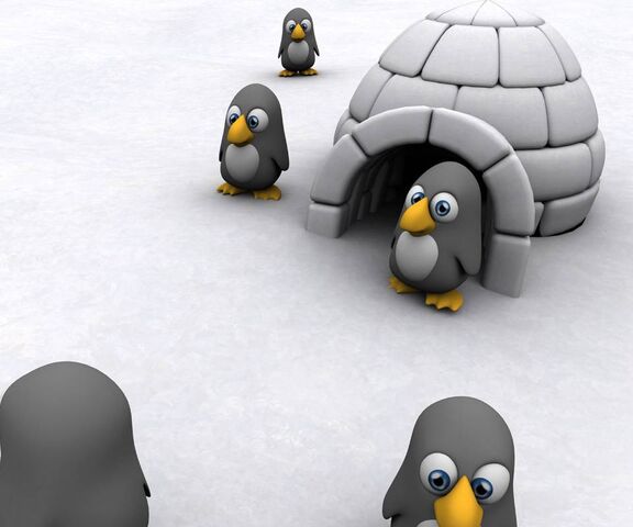 Cute Penguins Wallpaper - Download To Your Mobile From Phoneky