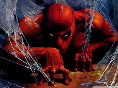 Человек-паук Иллюстрации-обои-1024x768