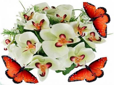 Orquídeas e borboletas