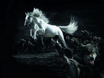 Horse And Wolves