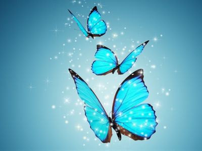 Farfalle blu