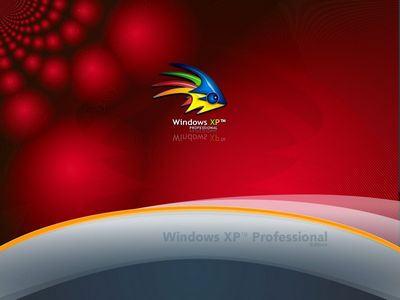 화면 윈도우 xp 배경 윈도우XP 배경화면