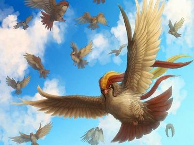 Fantasy Birds Wallpaper - Download to your mobile from PHONEKY