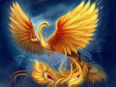 Phoenix Fantastic Beasts The Secrets of Dumbledore Poster 4K Wallpaper  iPhone HD Phone 7460f
