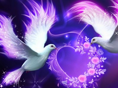 Beautiful Love Birds Wallpaper - Download to your mobile from PHONEKY