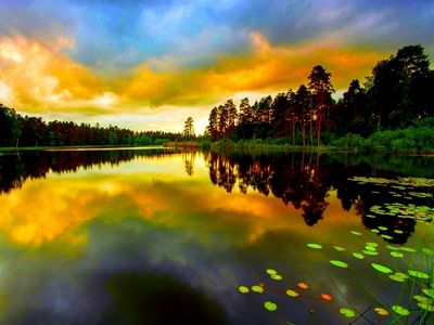 Amazing Color Wallpaper - Download to your mobile from PHONEKY