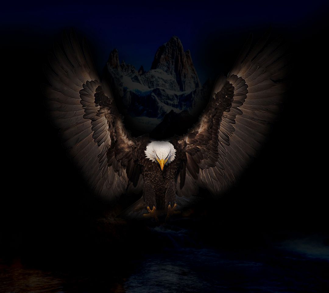 Eagle Wallpaper - Download to your mobile from PHONEKY