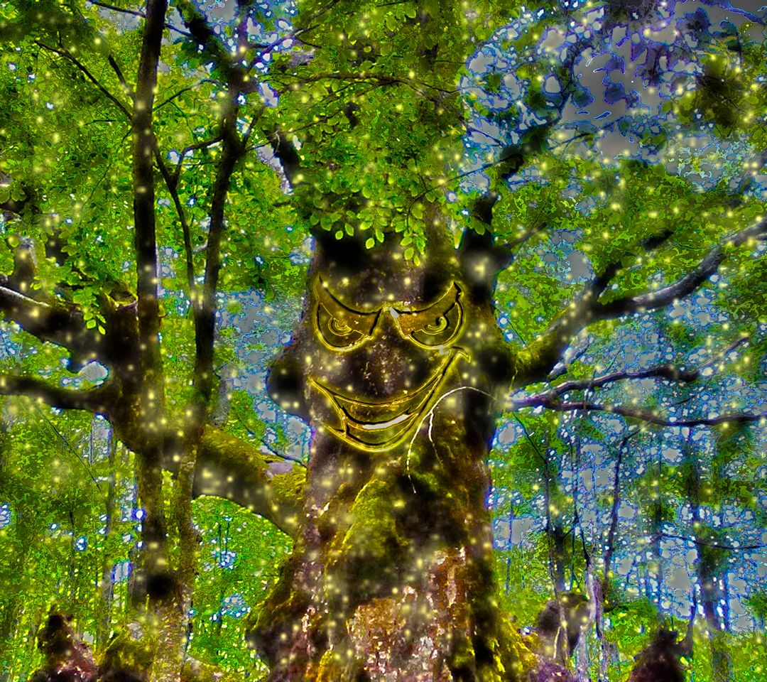 Magic Tree Wallpaper - Download to your mobile from PHONEKY
