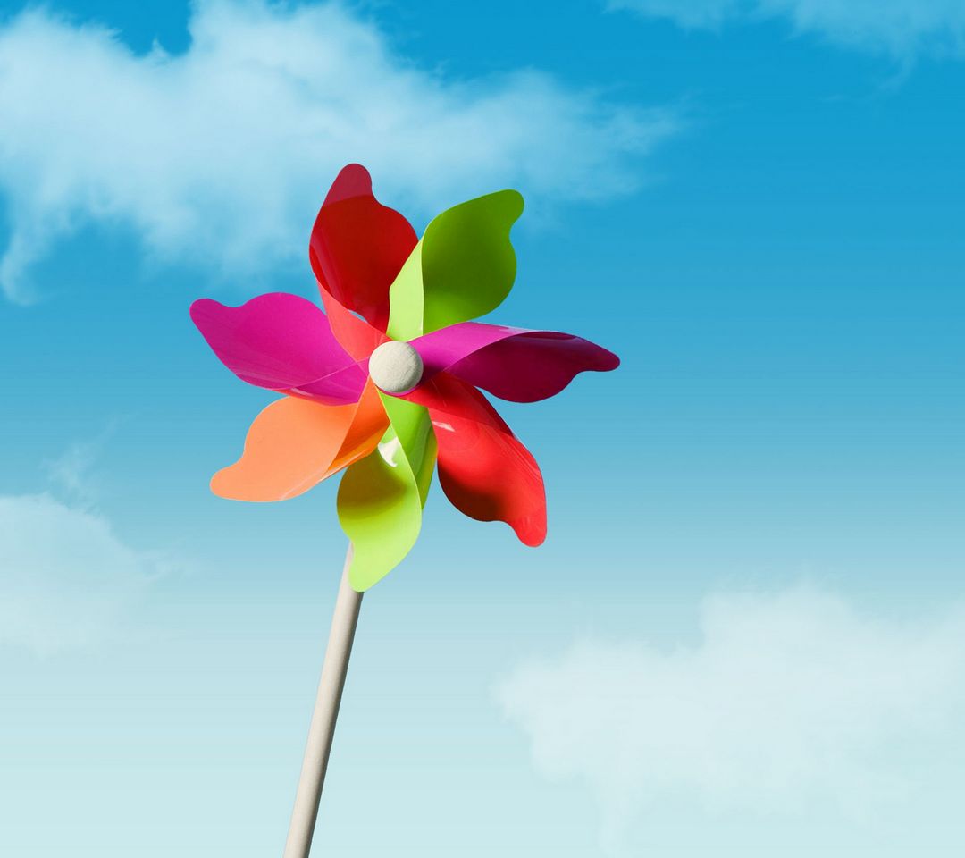 Windmill Flower
