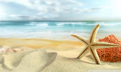 Estrella de mar en la playa