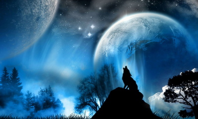 Blue Moon Wolf