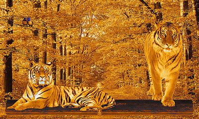 Autumn's Roar: A Tiger's Journey Through Fall 🍂🐅 Wallpaper - Download ...
