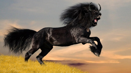 Black Horse Lion By Dragonfly
