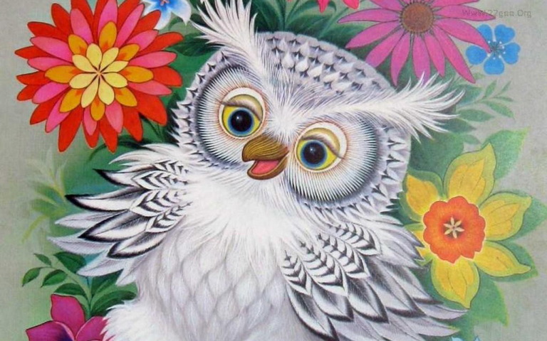 Burung Hantu Putih Wallpaper Muat Turun Ke Telefon Bimbit Anda