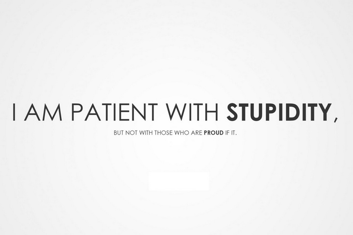 Stupidity Wallpaper - Download to your mobile from PHONEKY