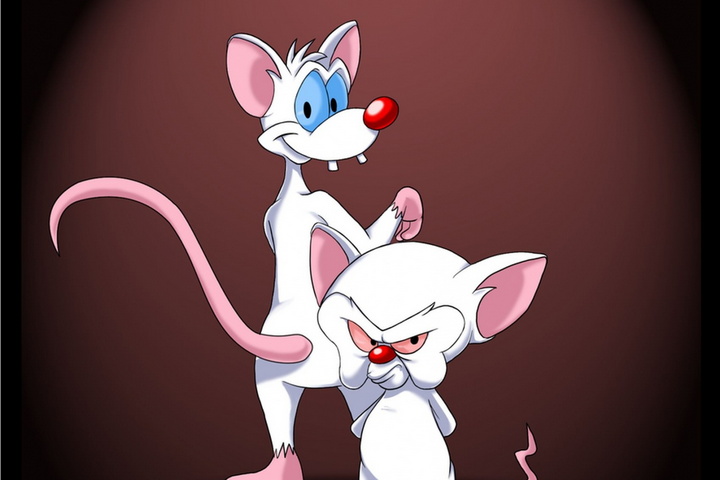 Featured image of post Pinky And The Brain Phone Wallpaper Pinky and the brain by jrwcole on deviantart