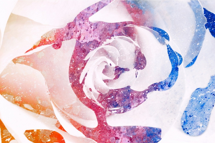 Color Splatter Rose Wallpaper - Download to your mobile from PHONEKY