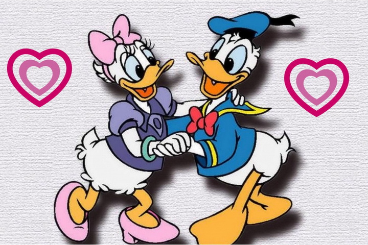 Donald Daisy Duck Wallpaper