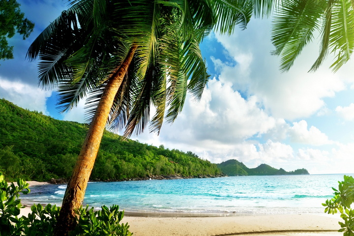 Tropical Beach Wallpaper - Download to your mobile from PHONEKY