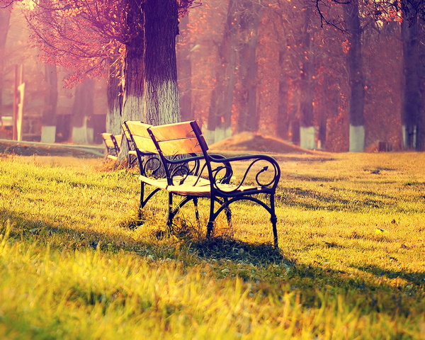 Park Bench Wallpaper - Download to your mobile from PHONEKY