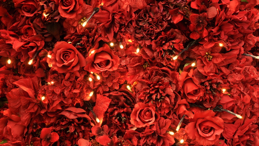99 hình ảnh hoa hồng đẹp tự nhiên chào ngày mới | hình nền hoa hồng 3d